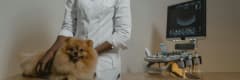 Veterinary Equipment